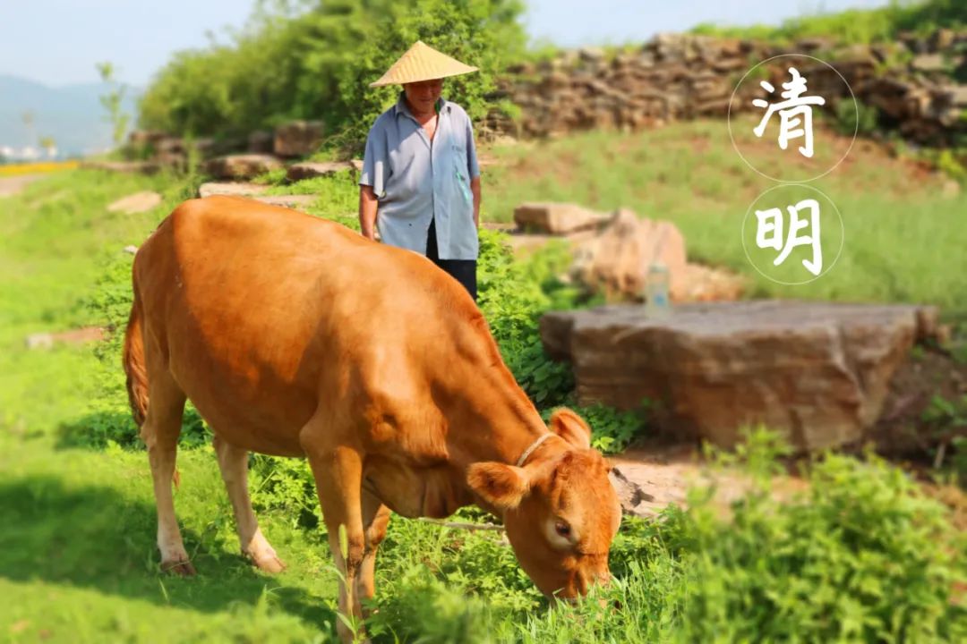 圖片迷路了 ^.^