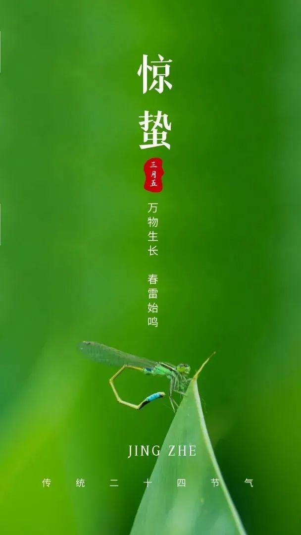 圖片迷路了 ^.^